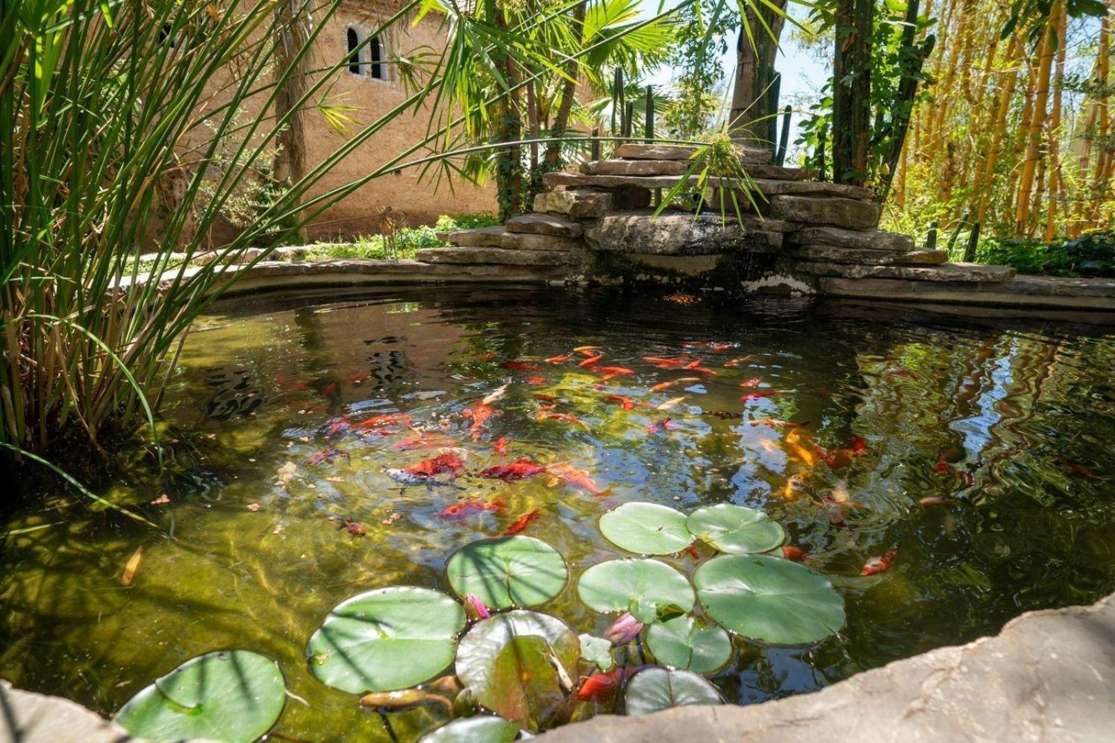 Hotel Molino Garden 셰프샤우엔 외부 사진