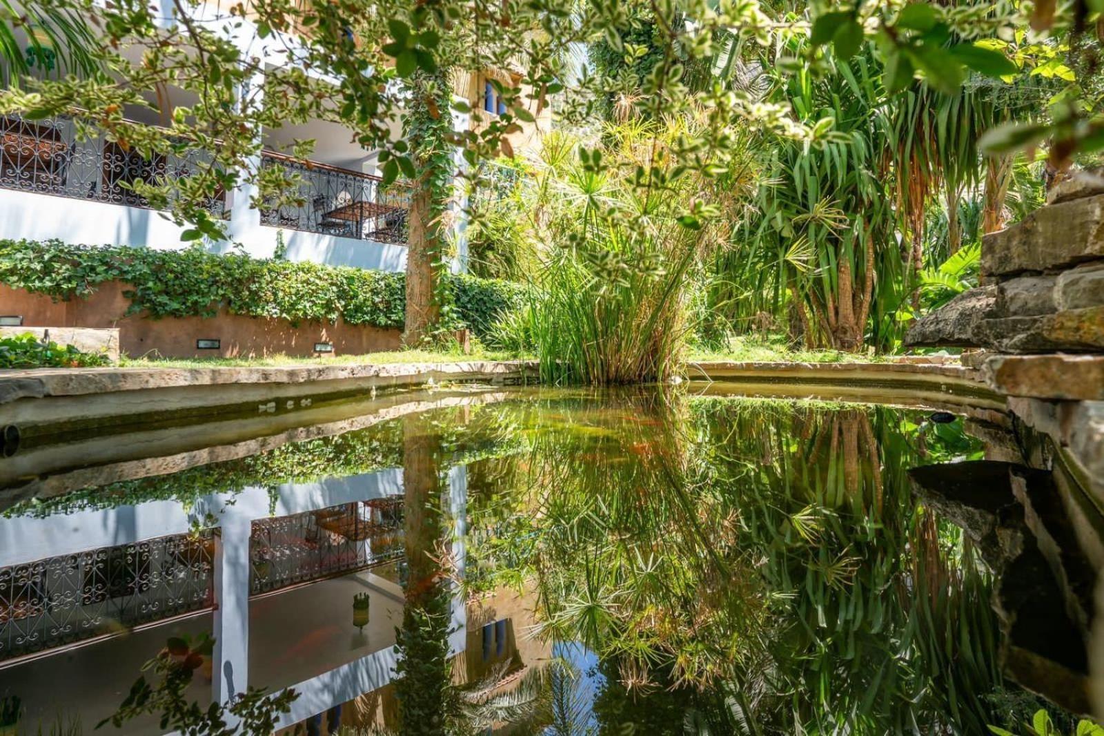 Hotel Molino Garden 셰프샤우엔 외부 사진
